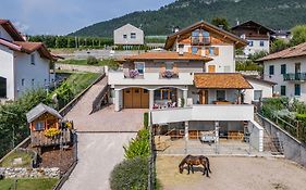 Bed And Breakfast Horse House
