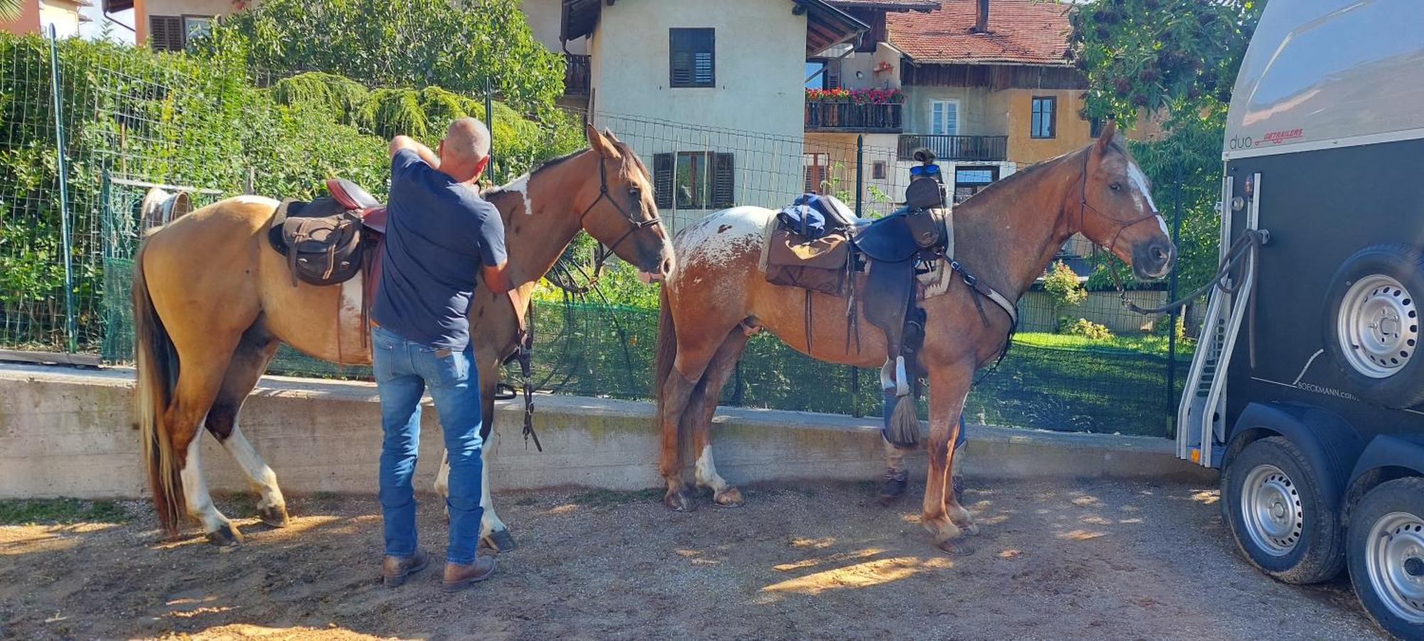Bed and Breakfast Horse House Romallo Exterior foto